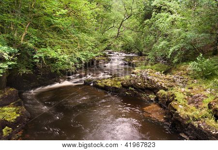 Beautiful Woodland Stream And Waterfall In Summer