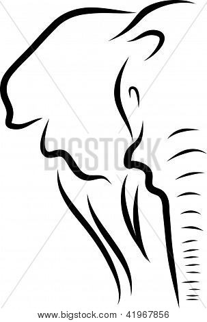 Elefante