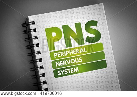Pns - Peripheral Nervous System Acronym On Notepad, Medical Concept Background