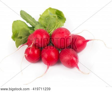 Radis Bunch Isolated On White Background. Fresh Radish Root Bundle, Pile Of Red Radishes With Green 