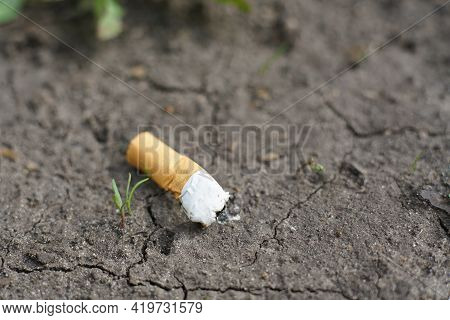 The Cigarette Butt Is Lying On The Black Ground With Cracks. Closeup. Space For Text
