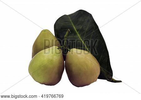 Green Rose Apples Or Green Water Apples 