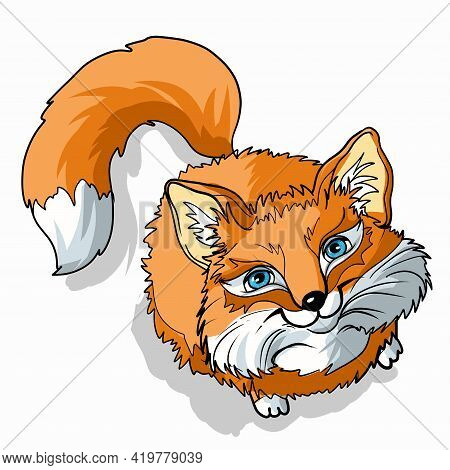 Little Cute Fox. Big Blue Eyes. Cartoon Character. Classic Handmate Vector Illustration. Isolated. F