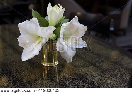 White Amaryllis Flowers In A Steel Vase Are As A Decoration For The Dining Table.
