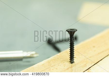 The Self-tapping Screw Is Screwed Into The Board. Screwing A Self-tapping Screw Into A Wooden Board 