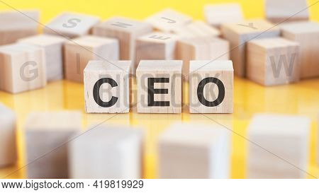 Ceo Word Made With Building Blocks, Concept