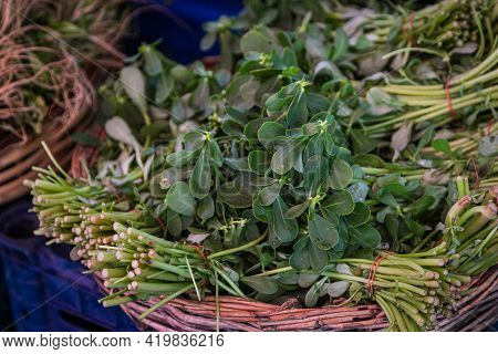 Close-up Green Plant For Background, Green Fenugreek  Texture . Green Leaves Form A Natural Shape. F