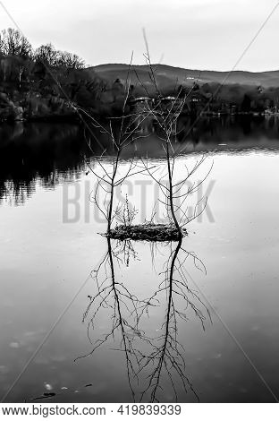 Grayscale Photo Of A Small Piece Of Land With Grass And Twigs, Reflecting In A Calm Lake In Bear Mou