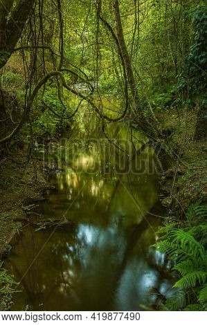 Water Stream Of Lourido River
