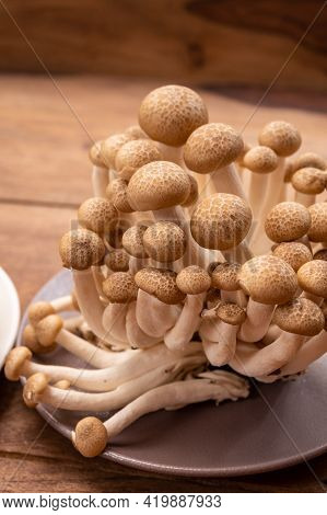 Shimeji Edible Mushrooms Native To East Asia, Buna-shimeji Is Widely Cultivated And Rich In Umami Ta