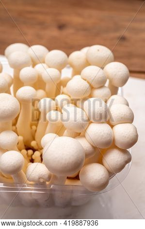 Shimeji Edible Mushrooms Native To East Asia, Buna-shimeji Is Widely Cultivated And Rich In Umami Ta