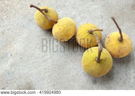 Copy Space Fresh Ripe Santol Or Sentul Fruit (sandoricum Koetjape) Isolated On On Cement Floor Backg