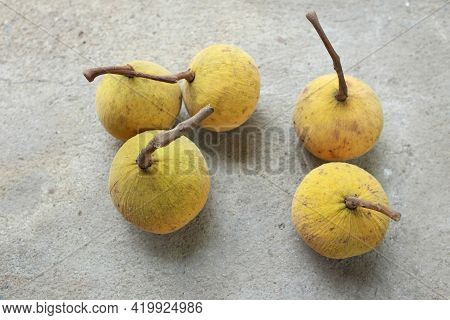 Group Fresh Ripe Santol Or Sentul Fruit (sandoricum Koetjape) Isolated On On Cement Floor Background