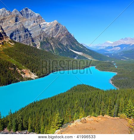 Peyto Lake de Canadá