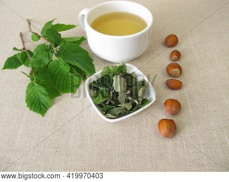 A Cup Of Hazel Leaf Tea From Dried Hazelnut Leaves