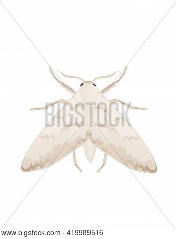 Top View Illustration On Moth Cartoon Insect Butterfly Design Vector Illustration Isolated On White 