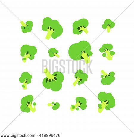 Set Of Twelve Vector Green Broccoli Isolated On White Background