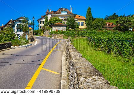 Picturesque Orderly Vineyards And Wonderful Gardens. Street View With Green Vineyards And Cute House