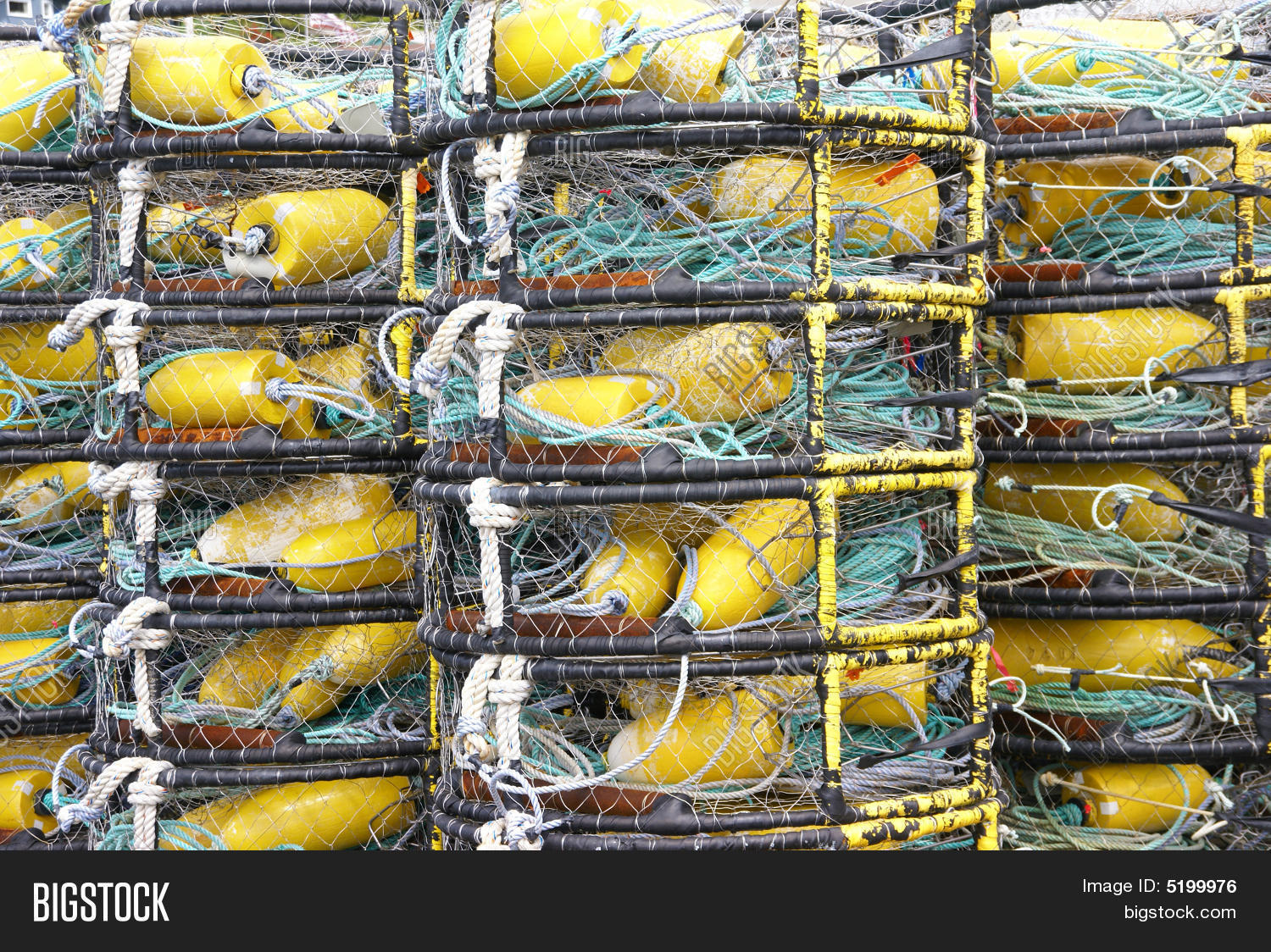Yellow Crab Floats Image & Photo (Free Trial) Bigstock