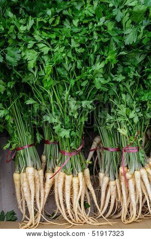 Parsley
