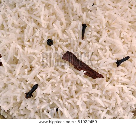 Basmati Rice-B