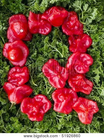 Letter Q. Pepper and parsley.