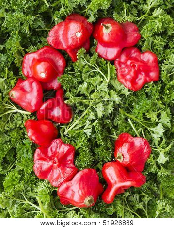 Letter C. Pepper and parsley.