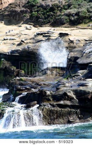 Nasse Felsen