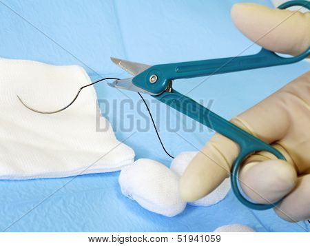 Surgical Scissors Cutting   Suture Thread