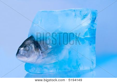 Pesce