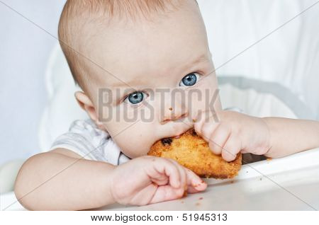 Little Boy Eating Biscuit