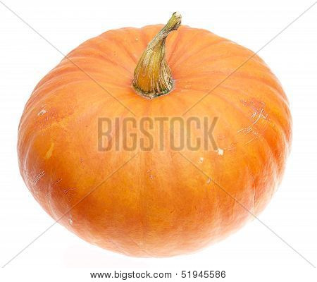 ripe orange pumpkin isolated on white background