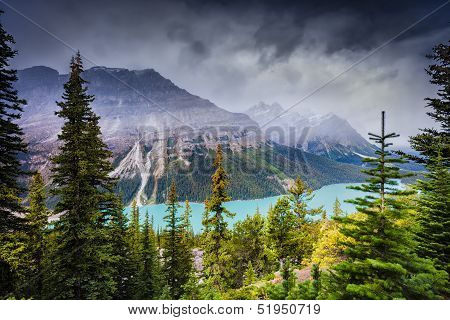 Peyto Lake