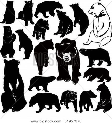 collection of animal bears