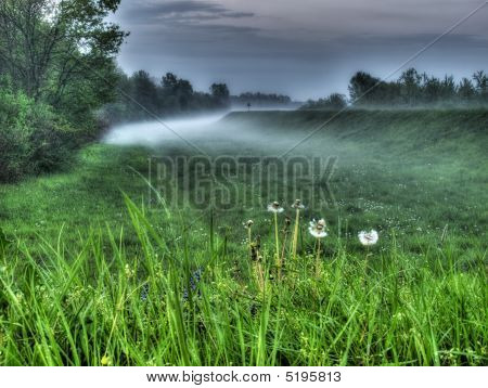 Foggines