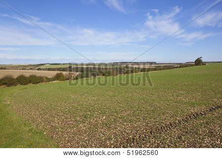 Scenic Chalklands