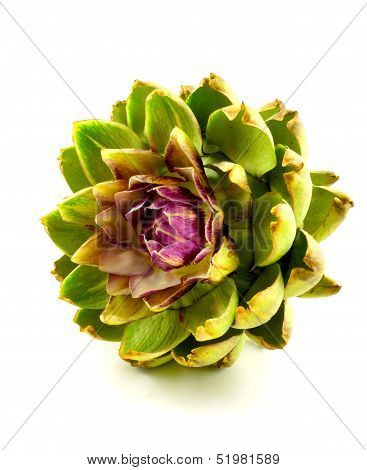 artichoke