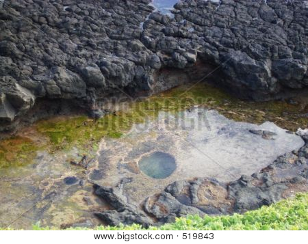 Piscina costeira da rocha