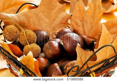 a pile of chestnuts and autumn leaves in a basket 