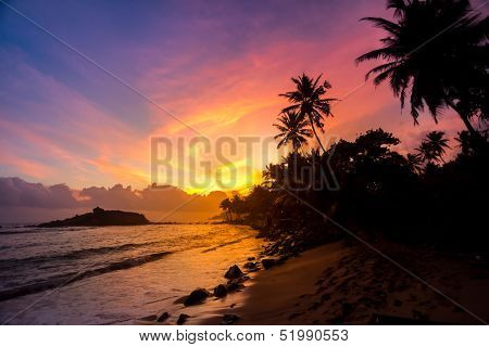 palm trees silhouette on sunset tropical beach