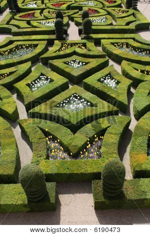 ลัวร์วัล Villandry รักสวน