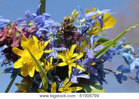 flowers bouquet