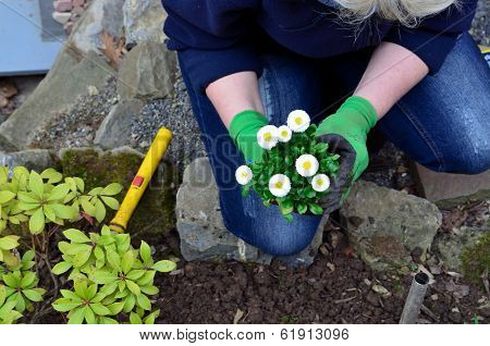 Gardening