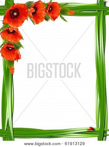Floral frame
