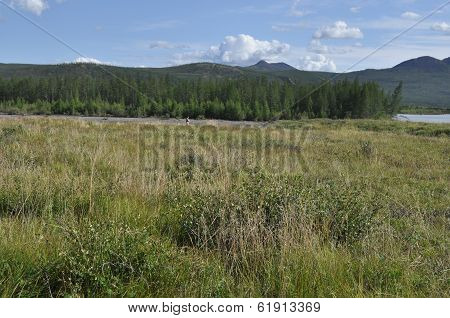 Swampy Plain Under The Blue Sky.