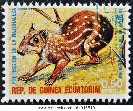 EQUATORIAL GUINEA - CIRCA 1974: Stamp printed in Guinea shows Lowland paca South America