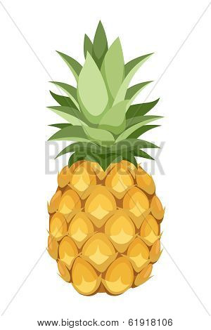 Pineapple. Vector illustration.