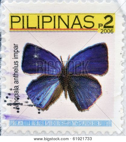 PHILIPPINES - CIRCA 2007: A stamp printed in the Philippines shows image of a butterfly