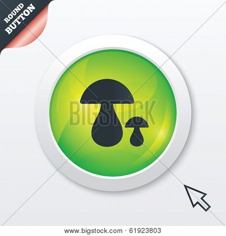 Mushroom sign icon. Boletus mushroom symbol.