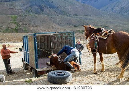 Huaso (Chilean cowboys)